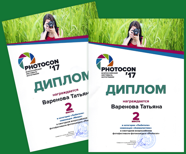 2. Варенова Д.В. Дипломы.jpg 2. Варенова Д.В. Дипломы.jpg
