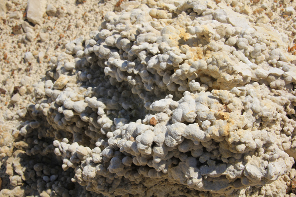10. коралловидная конкреция. Кварцевый песчаник. Чапаевское месторождение.JPG